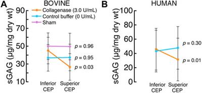 Intradiscal treatment of the cartilage endplate for improving solute transport and disc nutrition